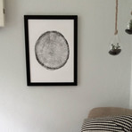 Big Cottonwood Canyon