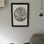 Split Log from Glacier National Park