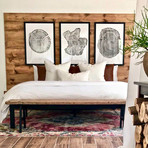 Set of Three Large Tree Ring Prints