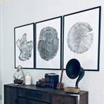 Set of Three Large Tree Ring Prints