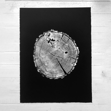 Ozark Oak on Black Paper