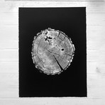 Ozark Oak on Black Paper