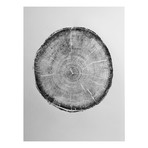 Big Cottonwood Canyon