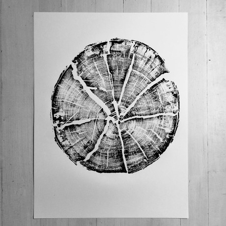 Split Log from Glacier National Park