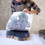 Black Locust from Ohio