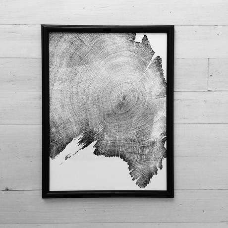 900 Year Old Juniper