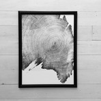 900 Year Old Juniper