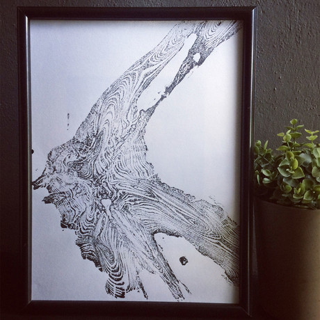 Tree Roots from Glacier