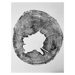 Set of Two, Oak and Hemlock