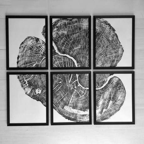 Sugar Maple // Set of 6