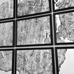 Big Leaf Maple // Set of 9