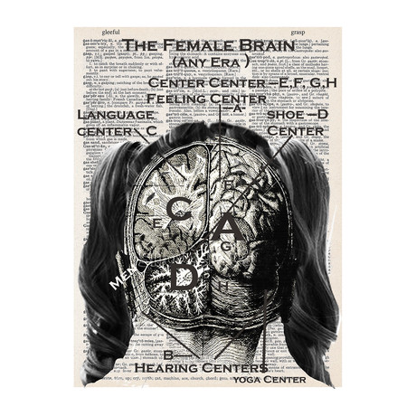 Female Brain