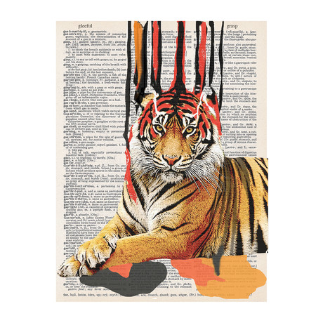 Striped Tiger