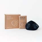 B2 Mask Starter Kit