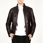 Barcelona Leather Jacket // Chestnut (XS)