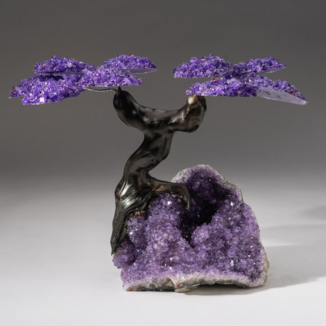 E617849486ede34c774bb5b5b2f661e9 medium