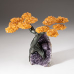 The Money Tree // Custom Citrine Clustered Gemstone Tree on Amethyst Matrix // V1