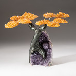 The Money Tree // Custom Citrine Clustered Gemstone Tree on Amethyst Matrix // V1