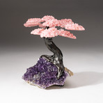 The Love Tree // Custom Rose Quartz Clustered Gemstone Tree on Amethyst Matrix // V7