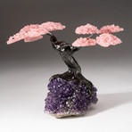 The Love Tree // Custom Rose Quartz Clustered Gemstone Tree on Amethyst Matrix // V7