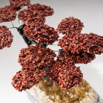 The Safety Tree // Custom Red Jasper Clustered Gemstone Tree on Citrine Matrix // V1
