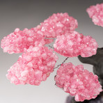 The Love Tree // Custom Rose Quartz Clustered Gemstone Tree on Amethyst Matrix // V9