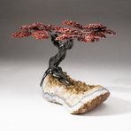 The Safety Tree // Custom Red Jasper Clustered Gemstone Tree on Citrine Matrix // V1
