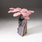 The Love Tree // Custom Rose Quartz Clustered Gemstone Tree on Amethyst Matrix // V8