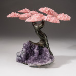 The Love Tree // Custom Rose Quartz Clustered Gemstone Tree on Amethyst Matrix // V11