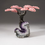 The Love Tree // Custom Rose Quartz Clustered Gemstone Tree on Amethyst Matrix // V13