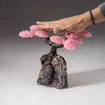 The Love Tree // Custom Rose Quartz Clustered Gemstone Tree on Amethyst Matrix // V12