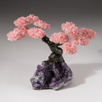 The Love Tree // Custom Rose Quartz Clustered Gemstone Tree on Amethyst Matrix // V11