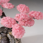 The Love Tree // Custom Rose Quartz Clustered Gemstone Tree on Amethyst Matrix // V12