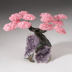 The Love Tree // Custom Rose Quartz Clustered Gemstone Tree on Amethyst Matrix // V16