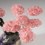 The Love Tree // Custom Rose Quartz Clustered Gemstone Tree on Amethyst Matrix // V14