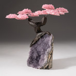 The Love Tree // Custom Rose Quartz Clustered Gemstone Tree on Amethyst Matrix // V15