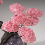 The Love Tree // Custom Rose Quartz Clustered Gemstone Tree on Amethyst Matrix // V15
