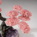 The Love Tree // Custom Rose Quartz Clustered Gemstone Tree on Amethyst Matrix // V18