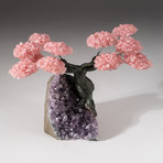 The Love Tree // Custom Rose Quartz Clustered Gemstone Tree on Amethyst Matrix // V17