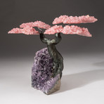 The Love Tree // Custom Rose Quartz Clustered Gemstone Tree on Amethyst Matrix // V17