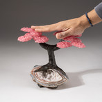 The Wellness Tree // Custom Rose Quartz Clustered Gemstone Tree on Quartz Crystal Matrix