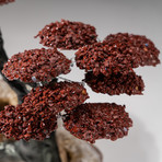 The Safety Tree // Custom Red Jasper Clustered Gemstone Tree on Citrine Matrix // V3