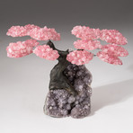 The Love Tree // Custom Rose Quartz Clustered Gemstone Tree on Amethyst Matrix // V19