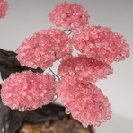 The Comfort Tree // Custom Rose Quartz Clustered Gemstone Tree on Citrine Matrix // V3