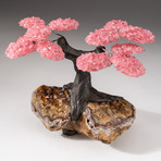 The Comfort Tree // Custom Rose Quartz Clustered Gemstone Tree on Citrine Matrix // V3