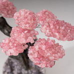 The Love Tree // Custom Rose Quartz Clustered Gemstone Tree on Amethyst Matrix // V19