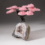 The Wellness Tree // Custom Rose Quartz Clustered Gemstone Tree on Quartz Crystal Matrix with Calcite // V2