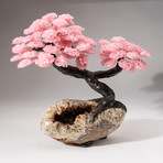 The Comfort Tree // Custom Rose Quartz Clustered Gemstone Tree on Citrine Matrix // V5