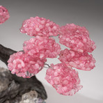 The Love Tree // Custom Rose Quartz Clustered Gemstone Tree on Amethyst and Smoky Quartz Matrix