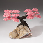 The Wellness Tree // Custom Rose Quartz Clustered Gemstone Tree on Quartz Crystal Matrix with Calcite // V1